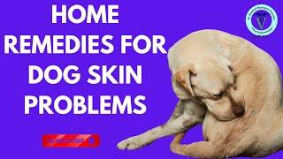 Itchy Dog? 5 Home Remedies by GNP Sir for Common Skin Problems!