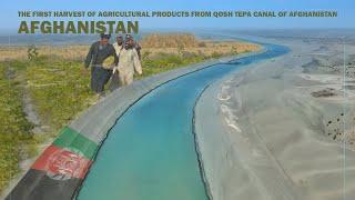 The first harvest of agricultural products from Qosh Tepa Canal of Afghanistan.