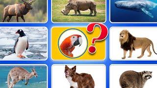 40 Animal Guessing Games | Guess The Animal For Kids | Ultimate Animal Guessing Quiz For Kids 