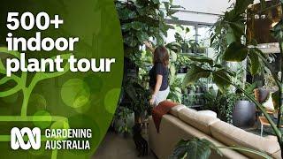 Huge 500+ indoor plant collection tour and plant care tips | Indoor plants | Gardening Australia