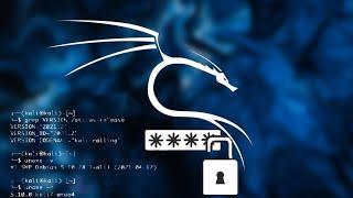 Reset Forgotten Password On Kali Linux 