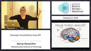 3.9 - Example: Visual Motion Area MT