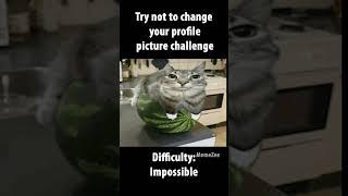 try not to change pfp challenge