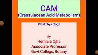 crassulacean acid metabolism (CAM)