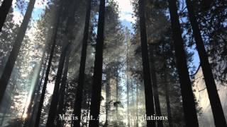MitiS - Foundations (feat. Adara)