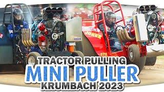 Deutsche Mini Puller: 3000 PS pro Tonne - die freie Klasse 950 kg ► Tractor Pulling - Krumbach 2023