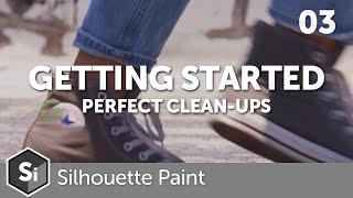 Silhouette Paint - Getting Started - Removing Objects and Logos Perfectly