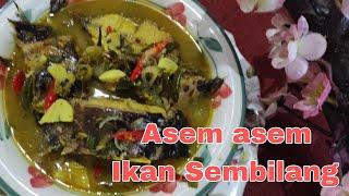 Cara memasak Ikan SEMBILANG II Resep Masak Asem Asem Ikan Sembilang