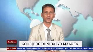 Goobjoog News Live Stream (Youtube)