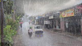 Heavy Rain Walks in Cool Village Vaster to sleep because of the beautiful heavy rain sound