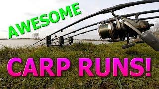 CARP RUN COMPILATION! 2019 #fishingfreaks