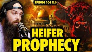 Red Heifer Prophecy Unfolding: What’s Happening on the Temple Mount? | Ninjas Are Butterflies