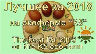 Лучшее за 2018 на экоферме К5