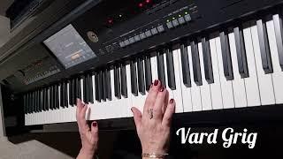 Գիշեր ցերեկ քուն չունեմ~piano cover Vard Grig