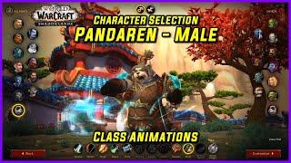 WoW Class Animations - Pandaren Male - WoW Shadowlands Character Creation Screen