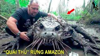 Khám Phá Kinh Hoàng Trong Rừng Rậm Amazon Khiến Cả Thế Giới Khiếp Sợ | T - TOP5