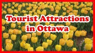 5 Top-Rated Tourist Attractions in Ottawa | Canada Travel Guide