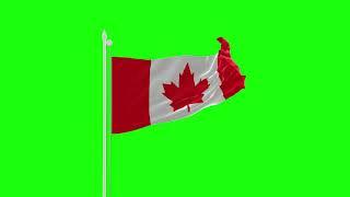 Canada green screen flag video