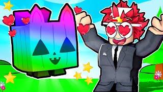 TRADING My RAINBOW Huge Pumpkin Cat!