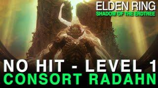 No Hit Level 1 VS Promised Consort Radahn | Elden Ring DLC