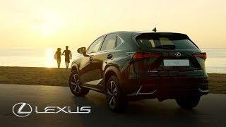 Lexus NX | Frankfurt Motor Show 2017 | Teaser