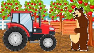 Hard Work on the Farm -The Bear and The Red Tractor Delivery of Apples to the nearby Market