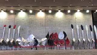 Douglas Lee- Baschet sound sculpture at Expo Park in Osaka