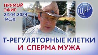 Как Т-регуляторные клетки защищают беременность? Сперма и снижение рисков осложнений беременности