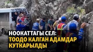 Ноокаттагы сел: тоодо калган адамдар куткарылды