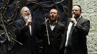 LSS Chanukah Concert Highlights 2014 - Sherwood Goffin, Yaakov Lemmer, Eitan Katz & Band