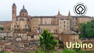 Urbino