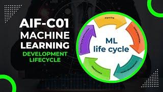 AIF-C01: Machine Learning Development Lifecycle