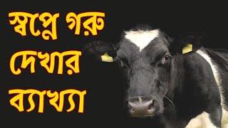 স্বপ্নে গরু দেখলে কি হয়  । Cow Dream Interpretation and Meaning