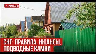 Всё о правилах в СНТ: нюансы и подводные камни