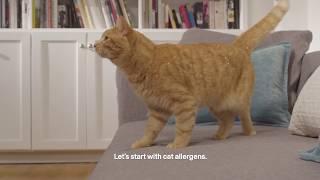 Purina Pro Plan LiveClear - How Our Cat Food Reduces Allergens