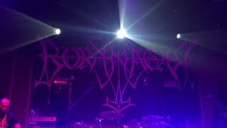 Borknagar - Up North (Live in Istanbul at %100 Studio 25.08.2022)