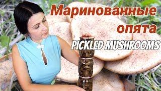 Making preserved mushrooms in vinegar - Pickled honey fungus  English subtitles