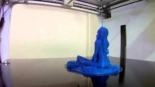 Poetry Infinity 3D Printer Review - SURFER GIRL