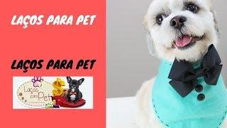 Laços Para Pet - Como Fazer Laços Para Pet