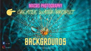 creative macro photography backgrounds for water droplet photography.