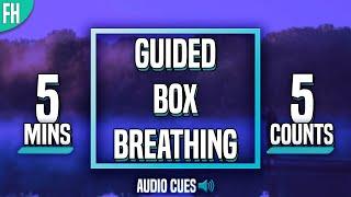 Guided Box Breathing - 5 Minute Meditation (5-5-5-5)