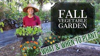 What I'm Planting Now-- Fall Vegetable Garden Zone 6