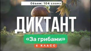 Входной ДИКТАНТ по русскому языку — 6 класс | Текст «За грибами»