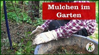 Mulchen im Garten