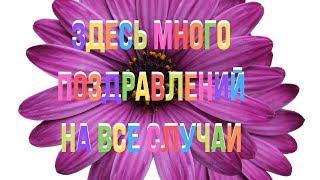 Поздравления в стихах. Поздравления на все случаи. Поздравительные стихи. Поздравуха