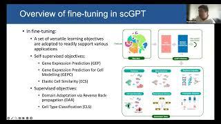 Towards Foundation Models in Biology: scGPT webinar