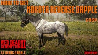 RDR2 Reverse dapple NOKOTA ( St.Denis Stable )