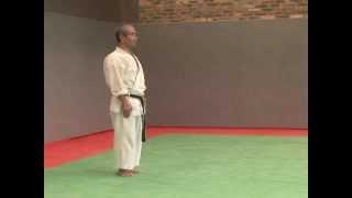 5. Pinan Godan Wado Ryu