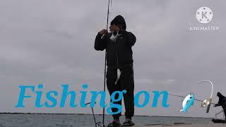 Hameem Beach Abu dhabi Onshore Fishing Spot