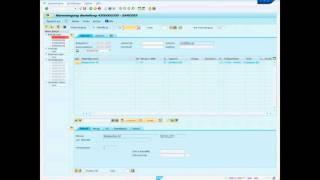 SAP - Wareneingang buchen - Einfacher Beschaffungsprozess BBS1 Aurich MIGO
